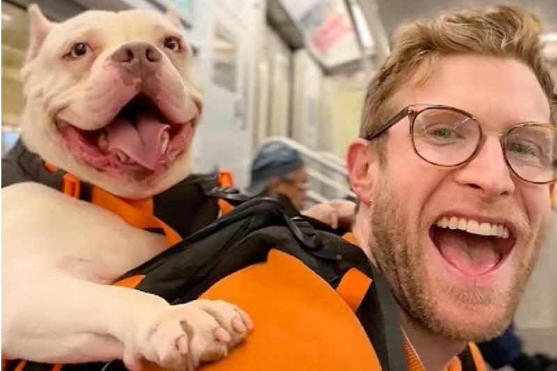 He carries shelter dogs around the city in a backpack to help get them adopted