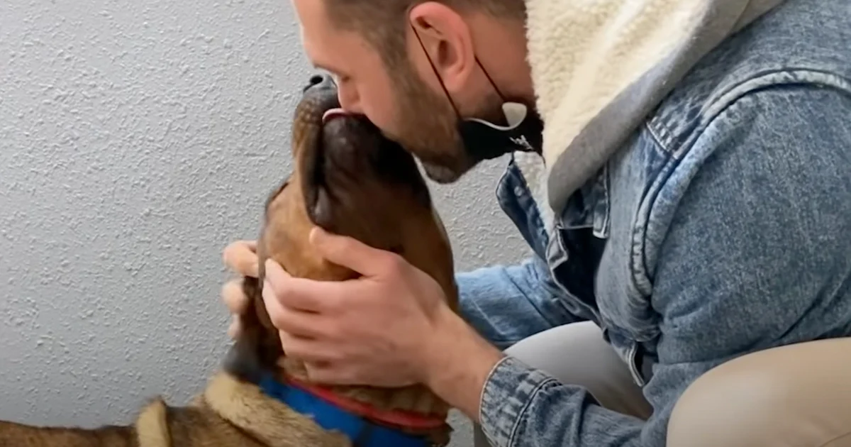 Guy Meets Dog He’s Told Is Aggressive, Reads Note From Former Owners